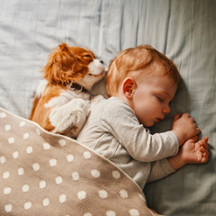 Ребята и зверята: почему нельзя разрешать детям спать вместе с питомцем
