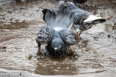 В Приморье прогнозируют погодные качели