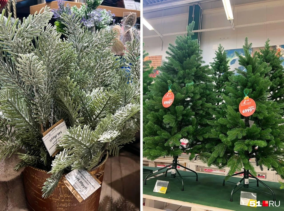 Новый год уже близко | Источник: Александра Балаба