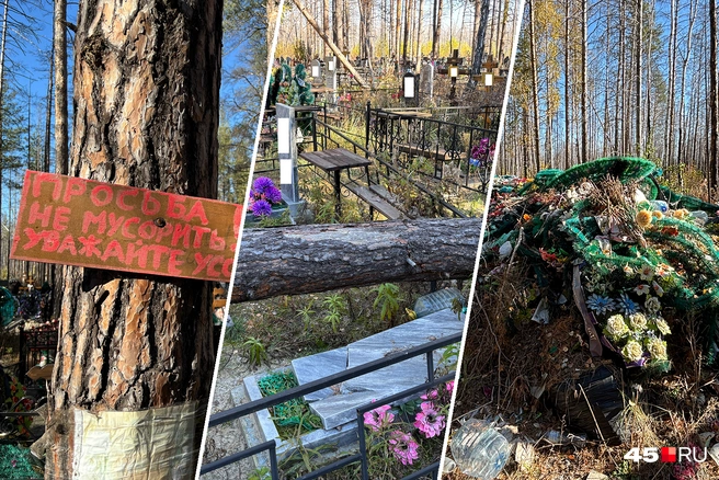 Местами незаконное кладбище находится в удручающем состоянии | Источник: Кирилл Митин / 45.RU