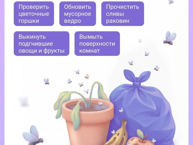 Первые действия во время обнаружения надоедливых насекомых | Источник: Евгения Бикунова / Городские порталы