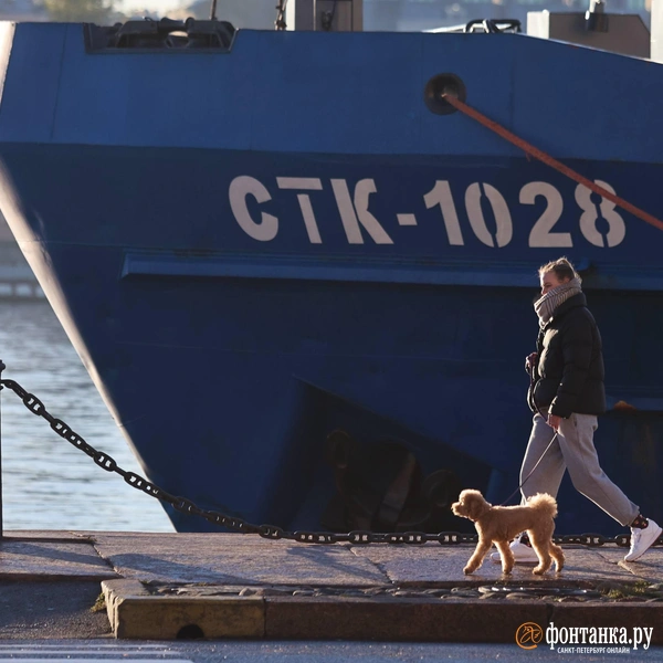 Источник: Валентин Егоршин / «Фонтанка.ру»