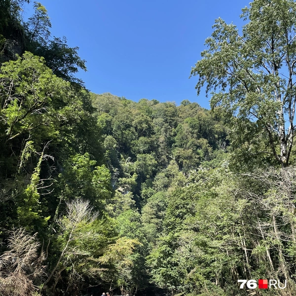 Невероятные виды | Источник: Кирилл Поверинов / 76.RU