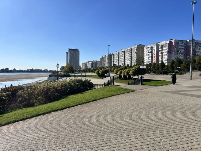 Депутат решил высказать личное мнение | Источник: Владислав Граф-Колесник / T.me