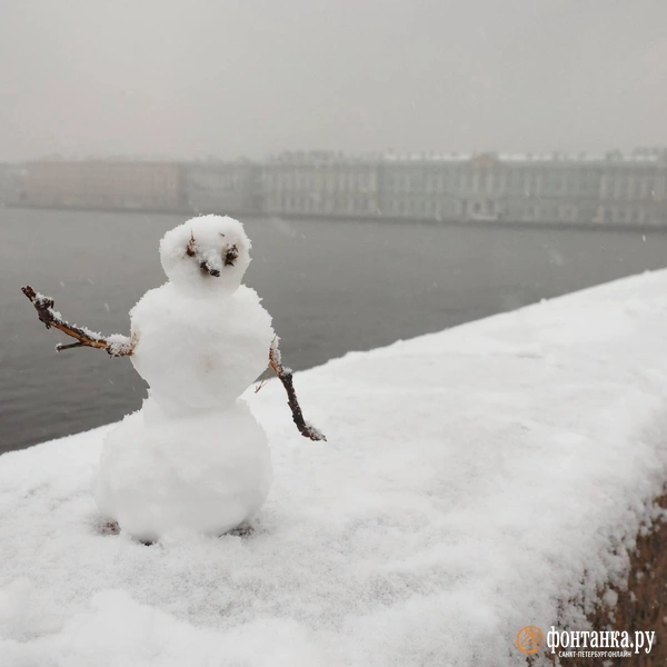 Источник: Сергей Михайличенко / «Фонтанка.ру»