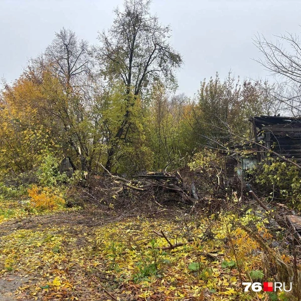 Участок много лет пустовал, привлекая маргиналов | Источник: читательница 76.RU