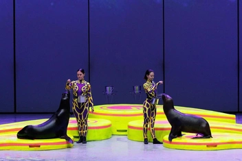 Фантазийное шоу «Море снов» возвращается на сцену «Москвариума»