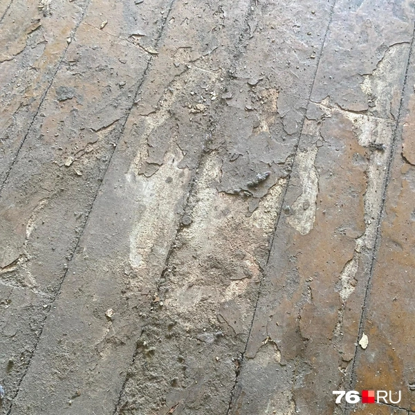 Вот так выглядят полы | Источник: Читатель 76.RU