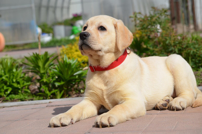 Изображение пользователя