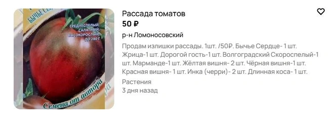 Источник: Avito.ru