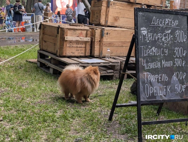 Гастрофестиваль проходил два дня | Источник: Алина Ринчино / «ИрСити»