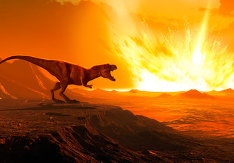 Почему убивший динозавров астероид не навредил птицам и млекопитающим