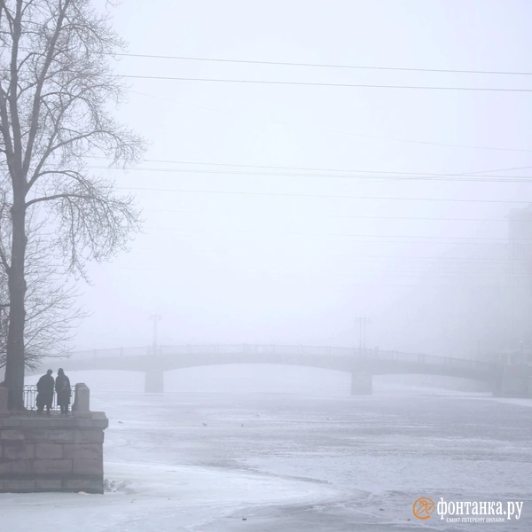Источник: Валентин Егоршин / «Фонтанка.ру»
