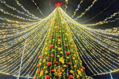 Сочи представил программу новогодних мероприятий