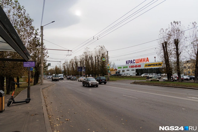 Хотя землю предприниматель арендовал под спортивный зал | Источник: Мария Ленц / NGS24.RU