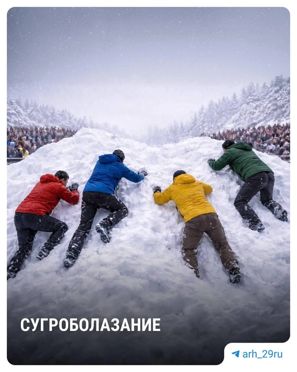 Источник: Анастасия Гусева / 29.RU