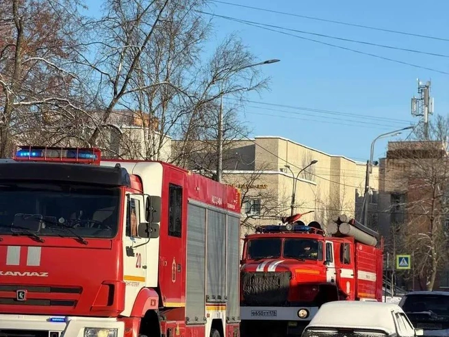 Источник: ГУ МЧС России по Санкт-Петербургу