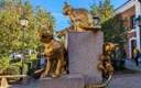 Маленькие герои: как кошки помогали людям во время Великой Отечественной войны
