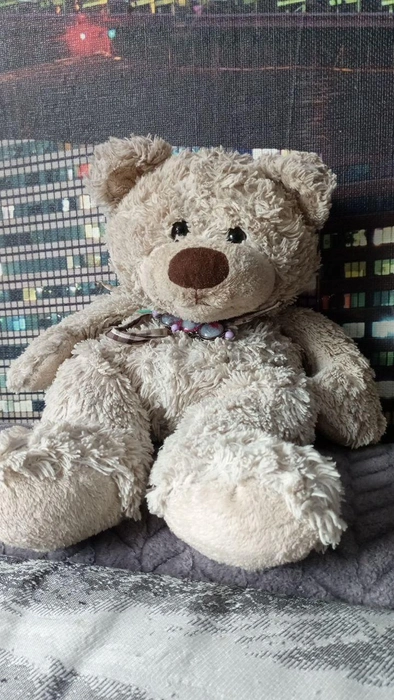 У всех же были медведи? | Источник: предоставлено героем публикации