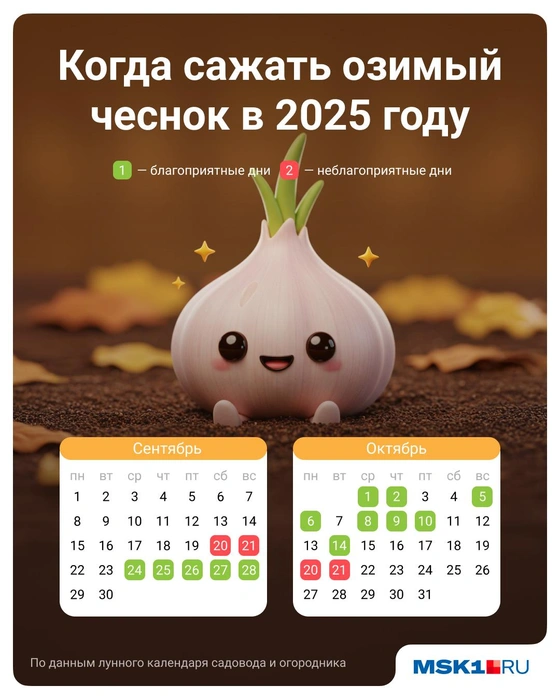 Источник: Полина Авдошина / Городские медиа