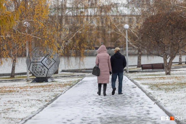 Похолодание в Екатеринбурге начнется уже со 2 ноября | Источник: Владислав Лоншаков / E1.RU