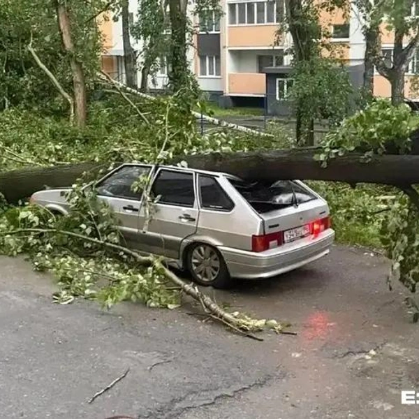 Источник: читатель E1.RU