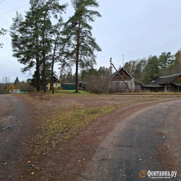 Источник: Ирина Багликова / «Фонтанка.ру»