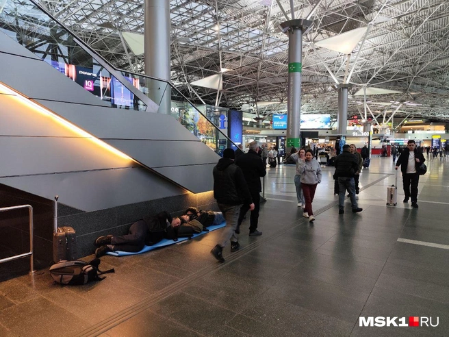 Источник: Игорь Мещанев / MSK1.RU