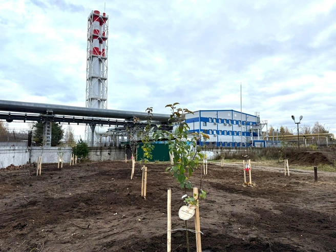 Источник: ТГК-2