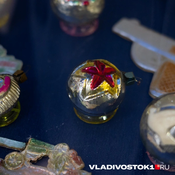 Источник: Елена Буйвол / VLADIVOSTOK1.RU