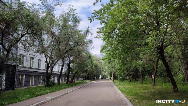 Аллея за политехом — приятное место для прогулки | Источник: Ксения Власова / «ИрСити»