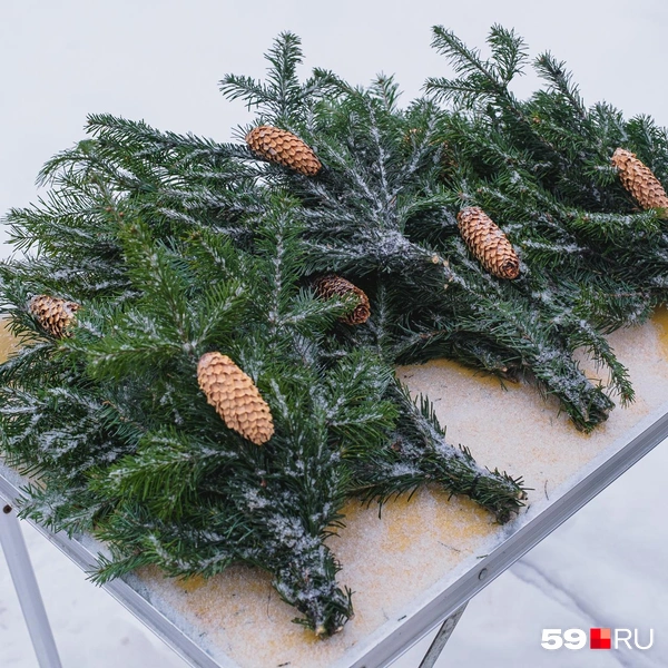 Лапником можно украсить квартиру | Источник: Тимофей Калмаков / 59.RU