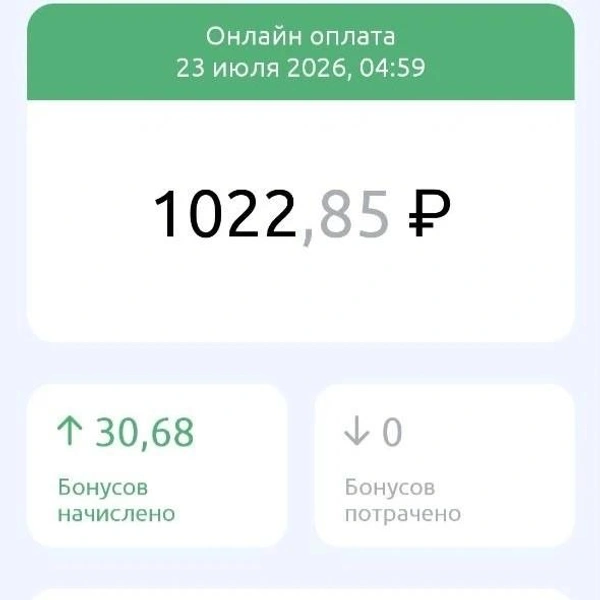 Источник: Дарья Елисейчева / 116.RU