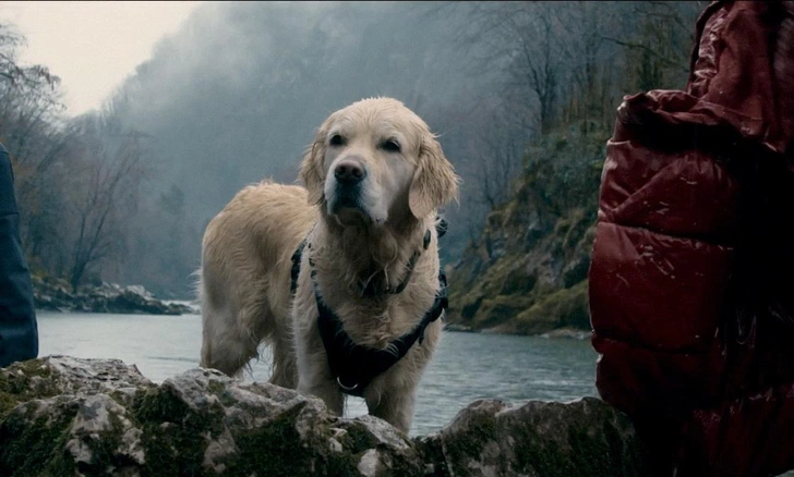 кадр из серила | Источник: kino-teatr.ru