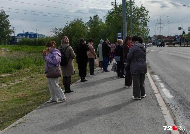 Примерно в одно время на мою остановку приходили несколько автобусов. Каждый ждал свой | Источник: Павел Красоткин / 72.RU
