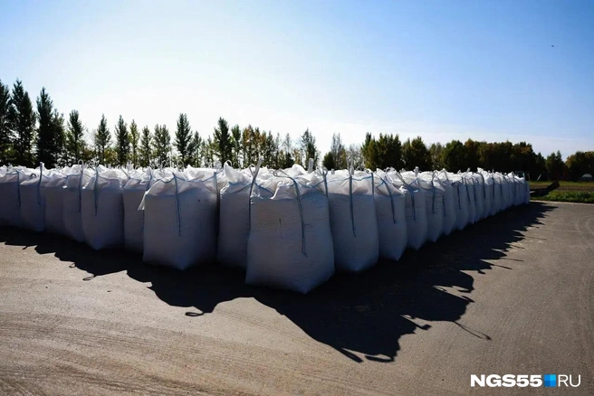 В таких мешках урожай покупают китайцы  | Источник: Евгений Софийчук / NGS55.RU