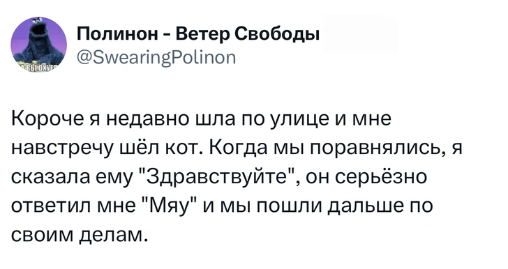 Источник: X (Twitter)