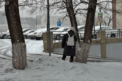 Полураздетый бегун попал на видео во Владивостоке в метель