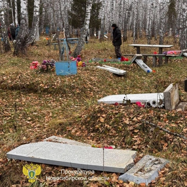 Источник: Прокуратура Новосибирской области / Telegram