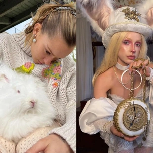 Теория белого кролика: правда ли, что все хорошее рано или поздно заканчивается?