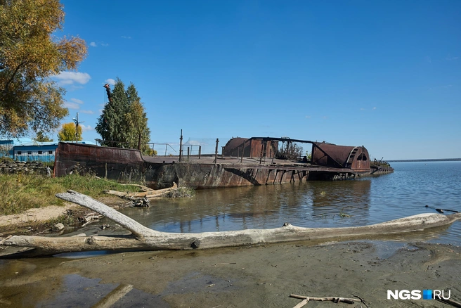 На 2025 год от парохода остался только ржавый остов, но выглядит он максимально внушительно | Источник: Александр Ощепков / NGS.ru