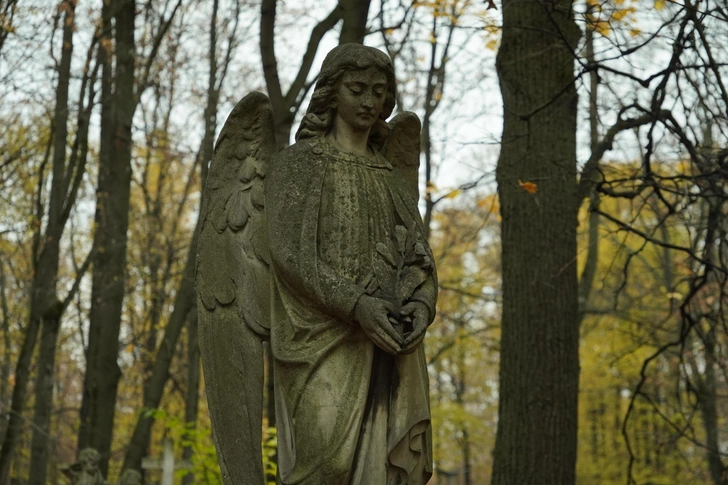 Загадочные склепы, ангелы и плакальщицы: 3 самых красивых кладбища Москвы