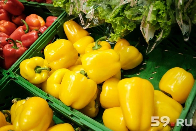 Пермяки смогут запастись экопродуктами и узнать, что из них приготовить | 59.ru