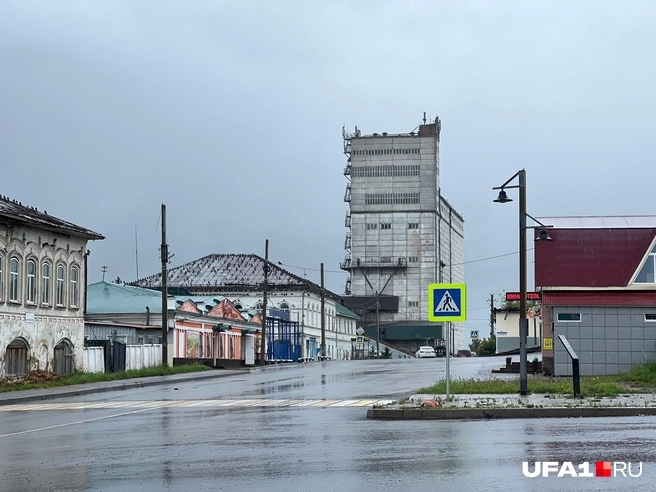 На доме в углу слева тоже было много птиц | Источник: Андрей Бирюков / UFA1.RU