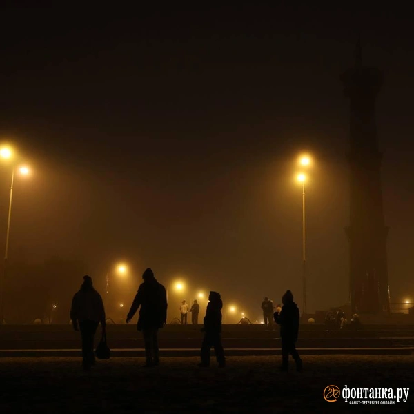 Источник: Марина Мамонтова / «Фонтанка.ру»