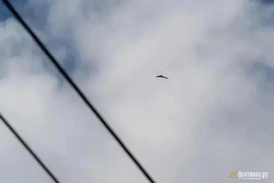 В Сочи угроза атаки дронов, аэропорт снова не работает