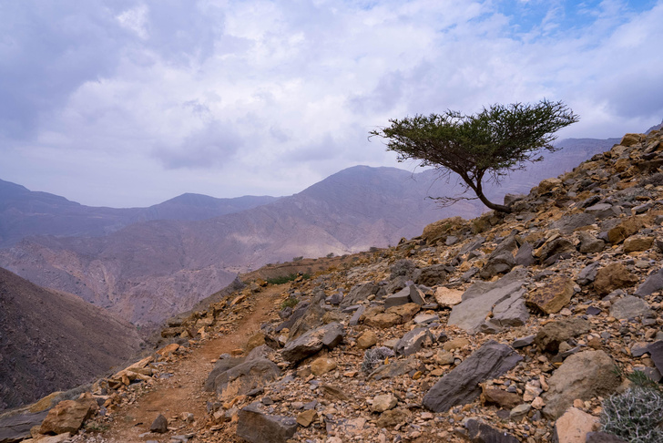 «Я сердце оставил в Хаджарских горах»: как ходят в походы на выживание в ОАЭ