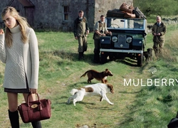 Кара Делевинь в осенней кампании Mulberry