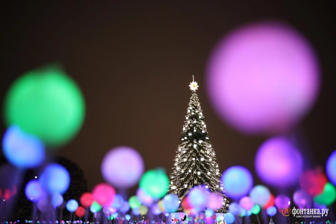 Источник: Сергей Михайличенко / FONTANKA.RU