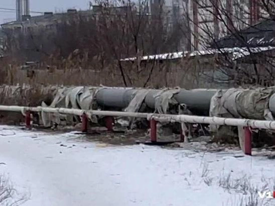 Стая бездомных собак обитает у теплотрассы в Кировском районе Волгограда | Источник: читатели V1.RU